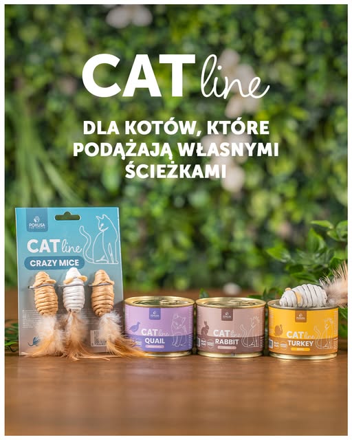 karma mokra dla kota pokusa catline