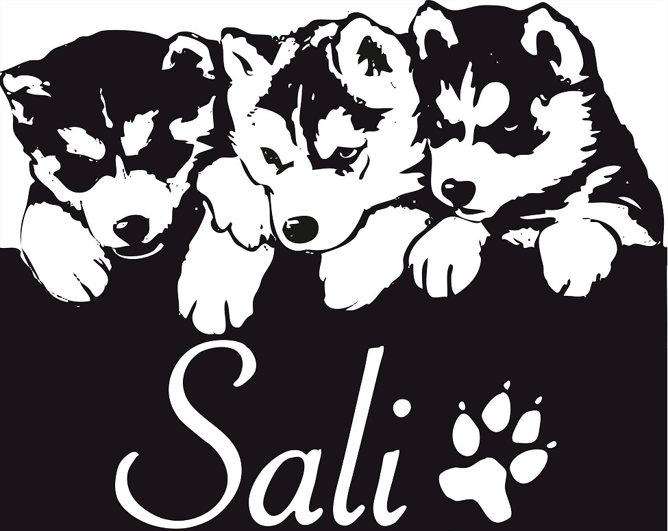 Sali.pl Logo